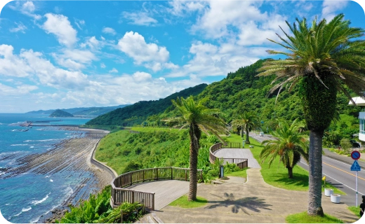 青島エリア（青島・木花）